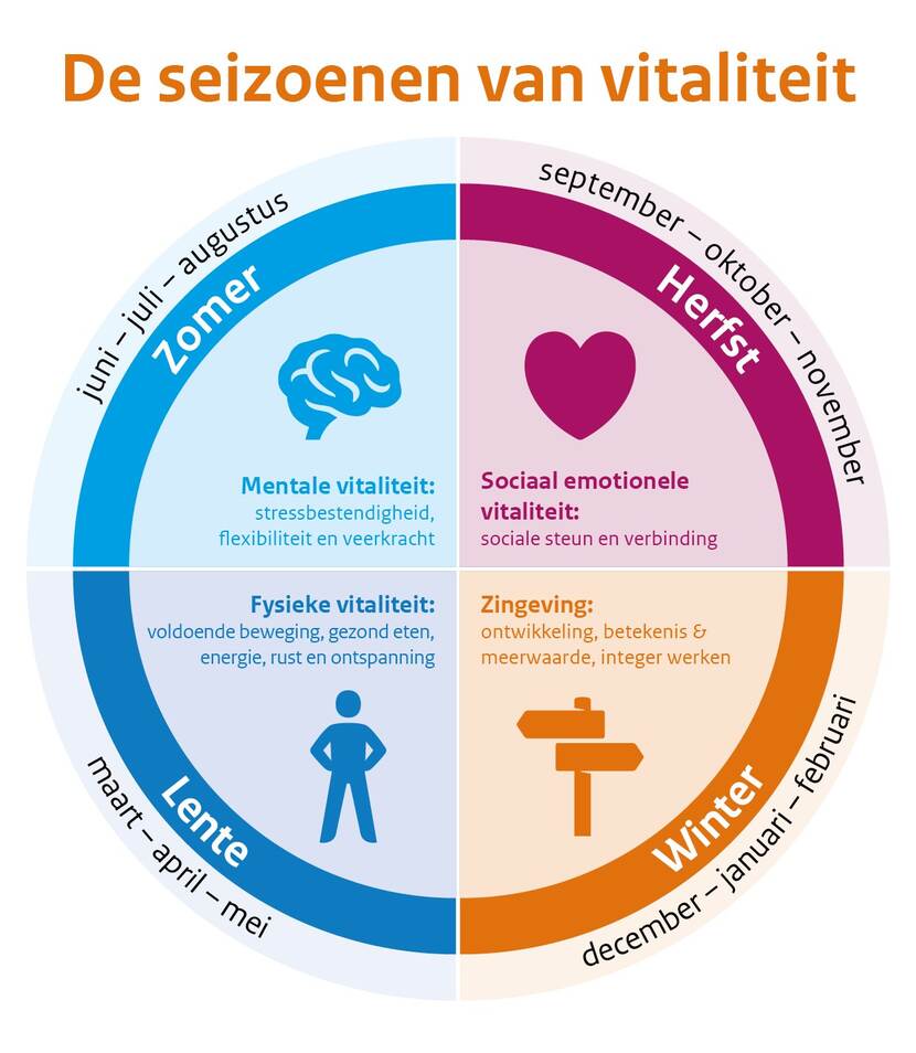 De seizoenen van Vitaliteit - Zomer: mentale fitheid, herfst: sociaal-emotionele fitheid, winter: zingeving, lente: fysieke fitheid.